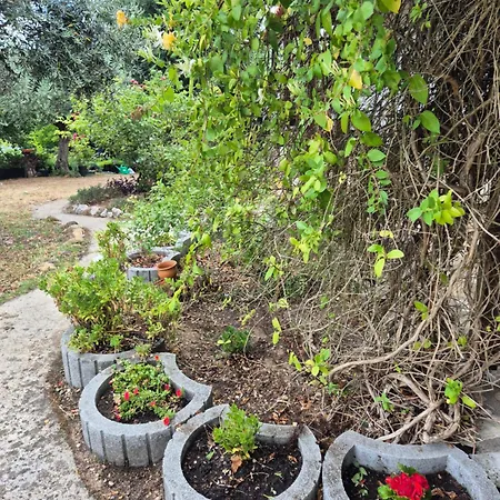Casa Da Paz-martinchel בית הארחה Casal do Rei (Abrantes)